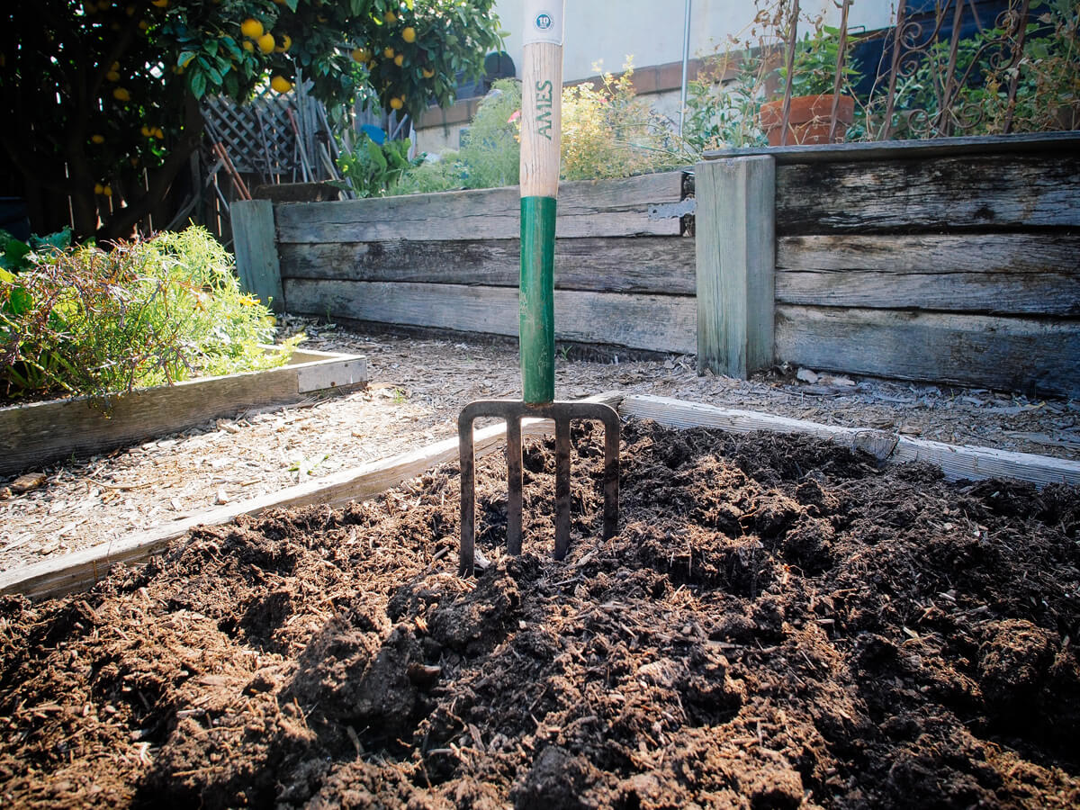 Dig in the compost and fertilizer with a spading fork