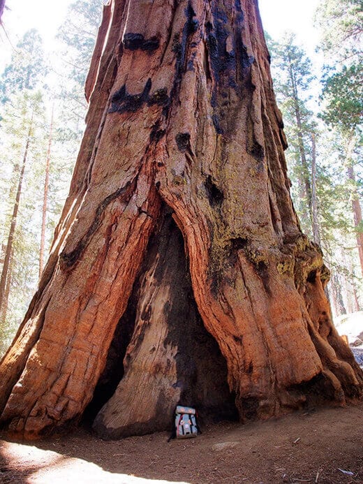 The Klettersack in Sequoia National Park