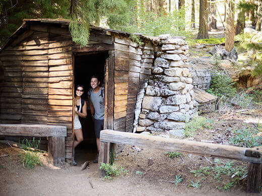 Cabin built inside a sequoia log