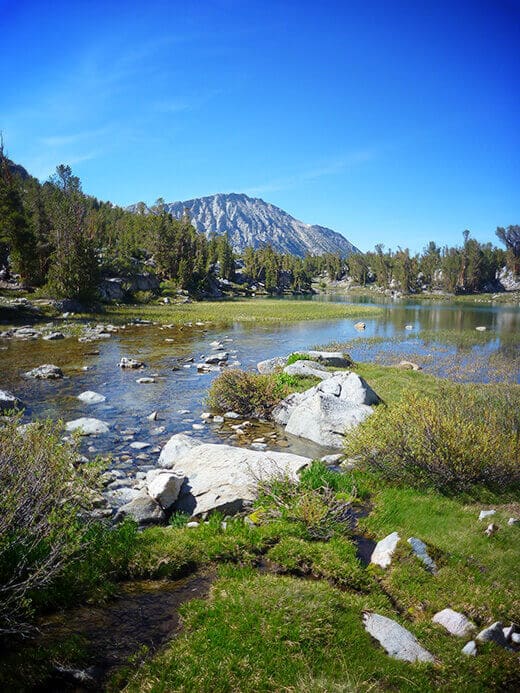 Pond in a High Sierra meadow