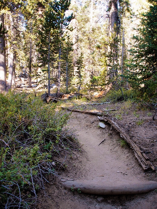 The first mile of the San Jacinto Peak trail