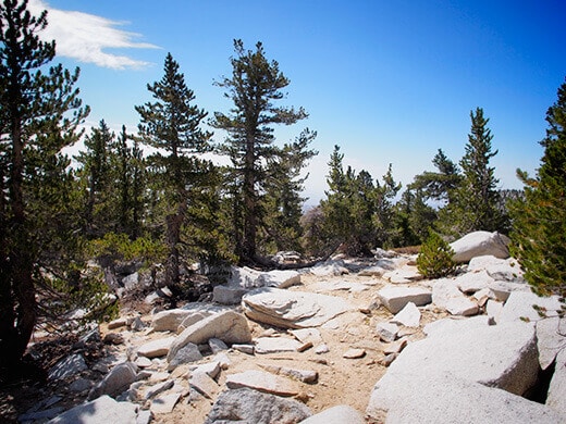 Final ascent to the summit of Mount San Jacinto