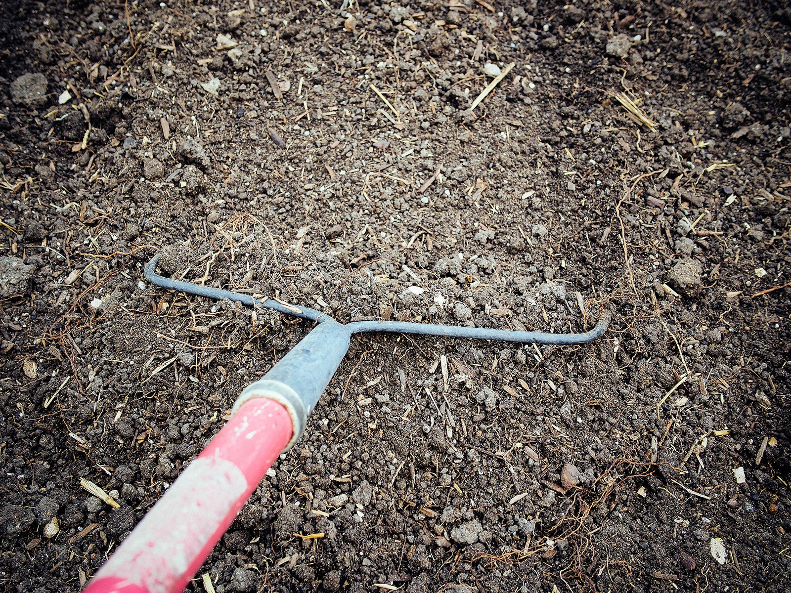 Rake the soil smooth and flat