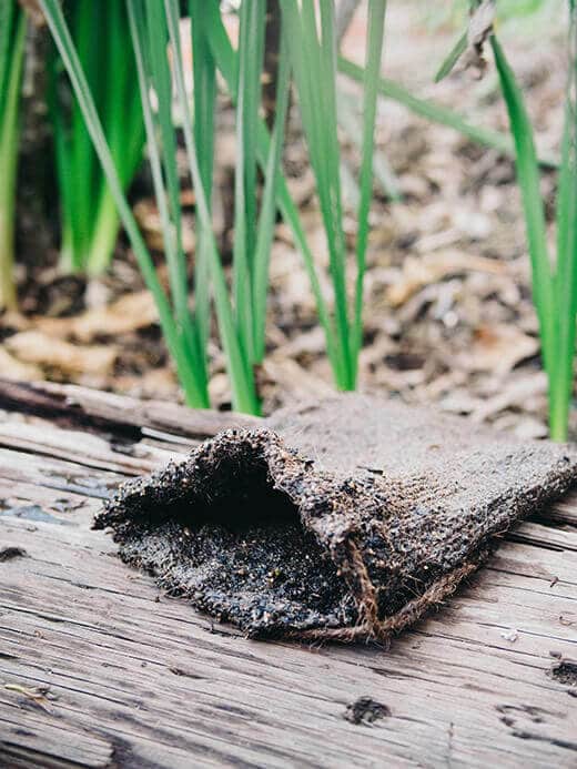 How to Brew Compost Tea for Better Plant Health