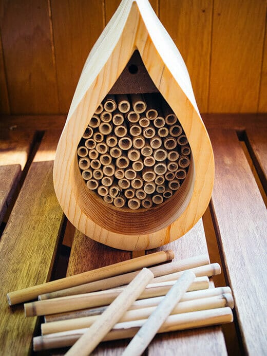 Raindrop native bee house with lake bed reeds