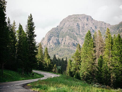An awe-inspiring road in Yellowstone