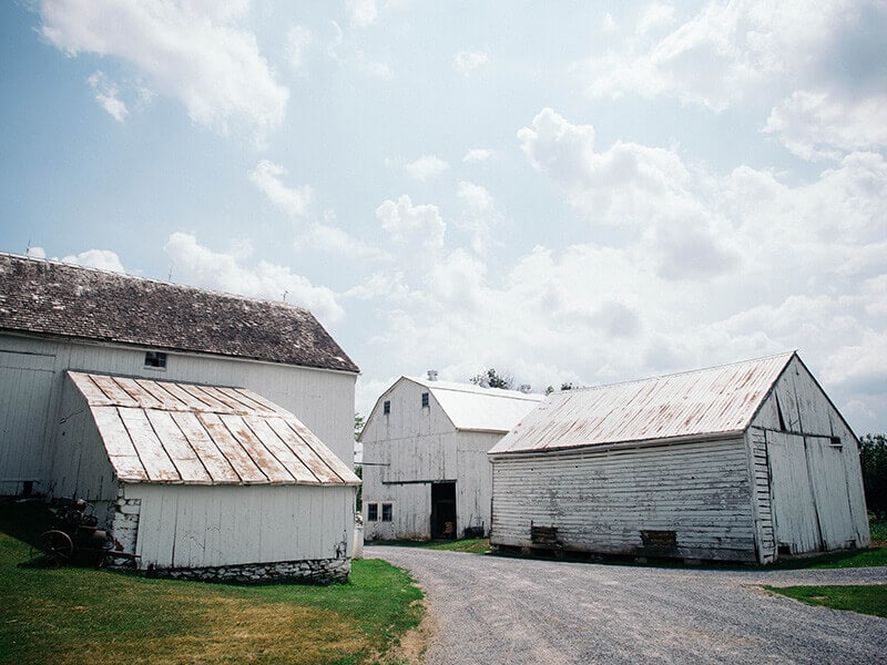 Rustic white barns