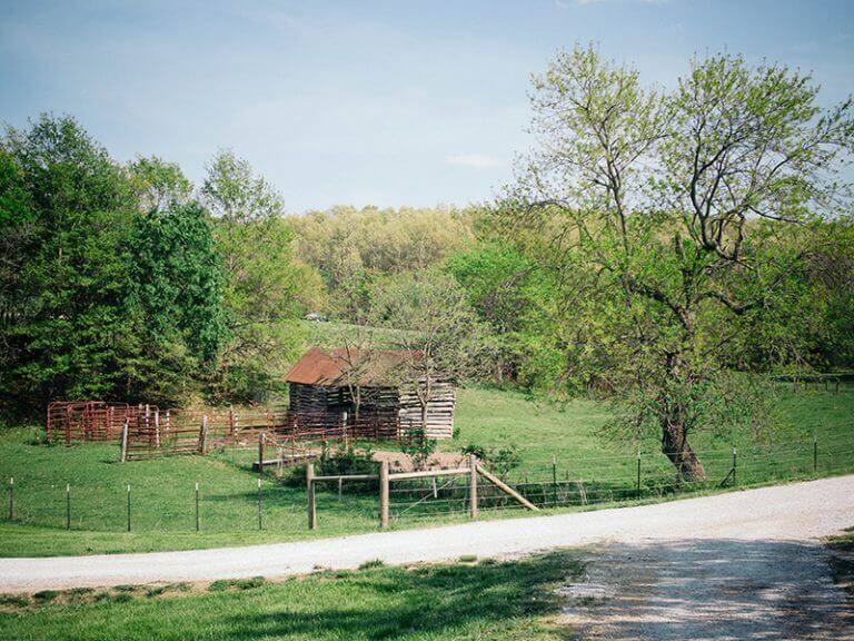 A Tour of Baker Creek Heirloom Seed Company Garden Betty