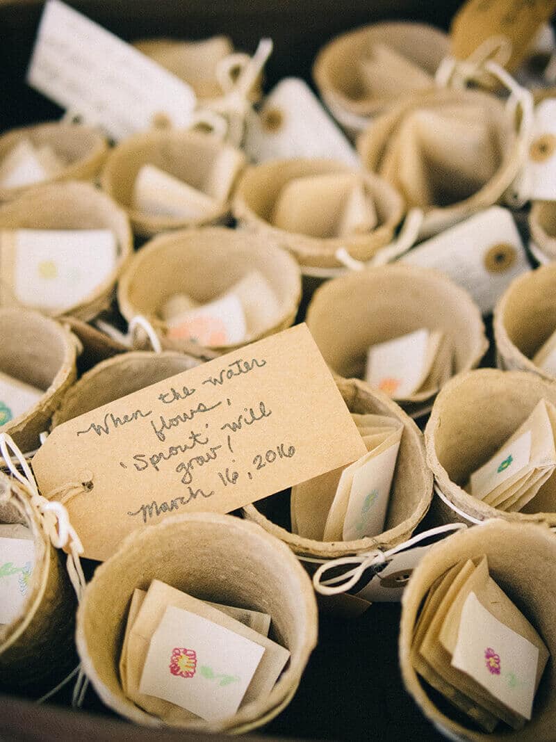 Paper cups, peat discs, and flower seeds for favors