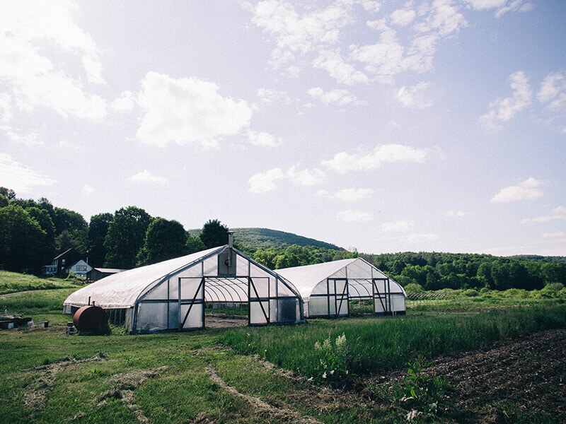 Greenhouses at Indian Line Farm