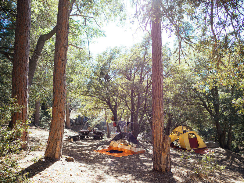 Marion Mountain Campground in Idyllwild