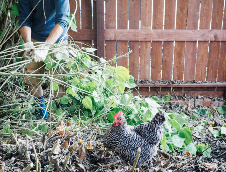 Checklist: How to Prep Your Garden for Spring