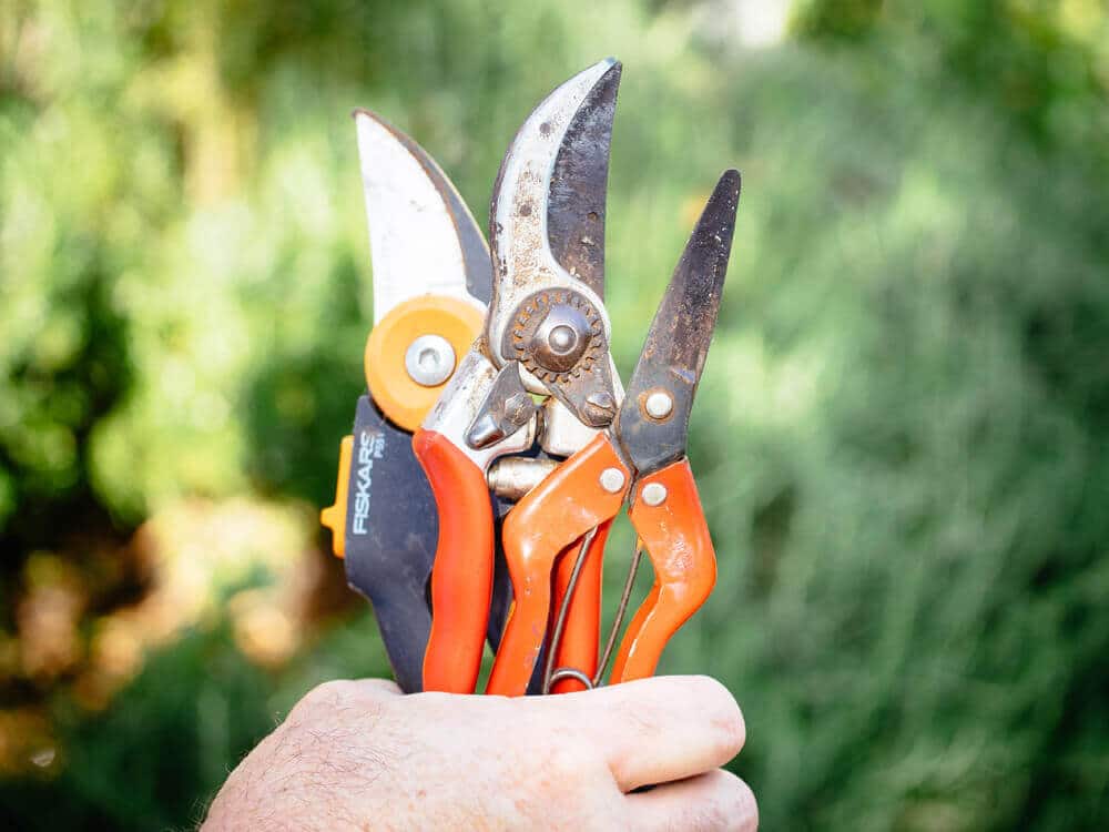 Inspect and clean gardening tools