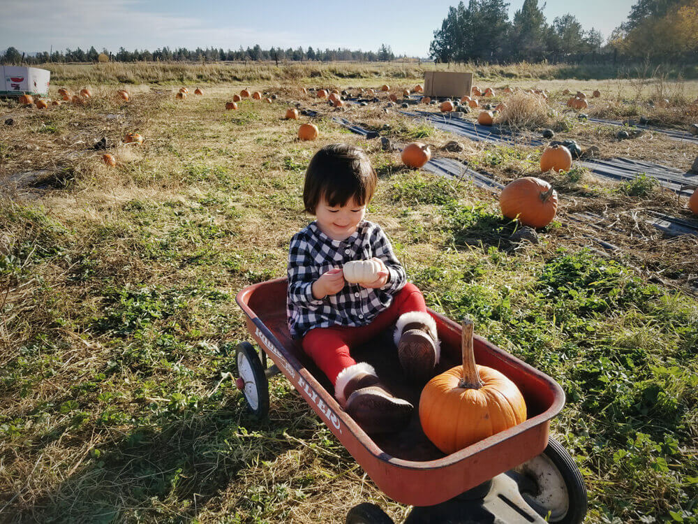 Gemma at the pumpkin patch