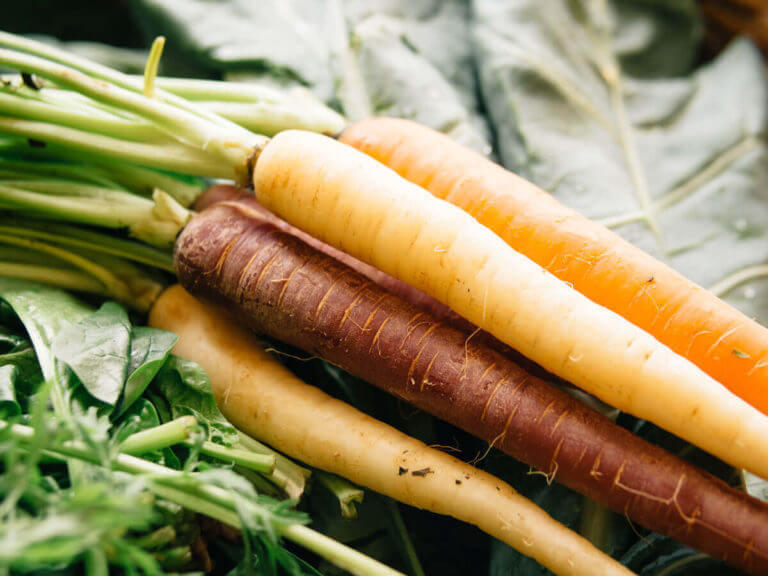 Propaganda Told Us Carrots Can Improve Eyesight—Here’s the Truth