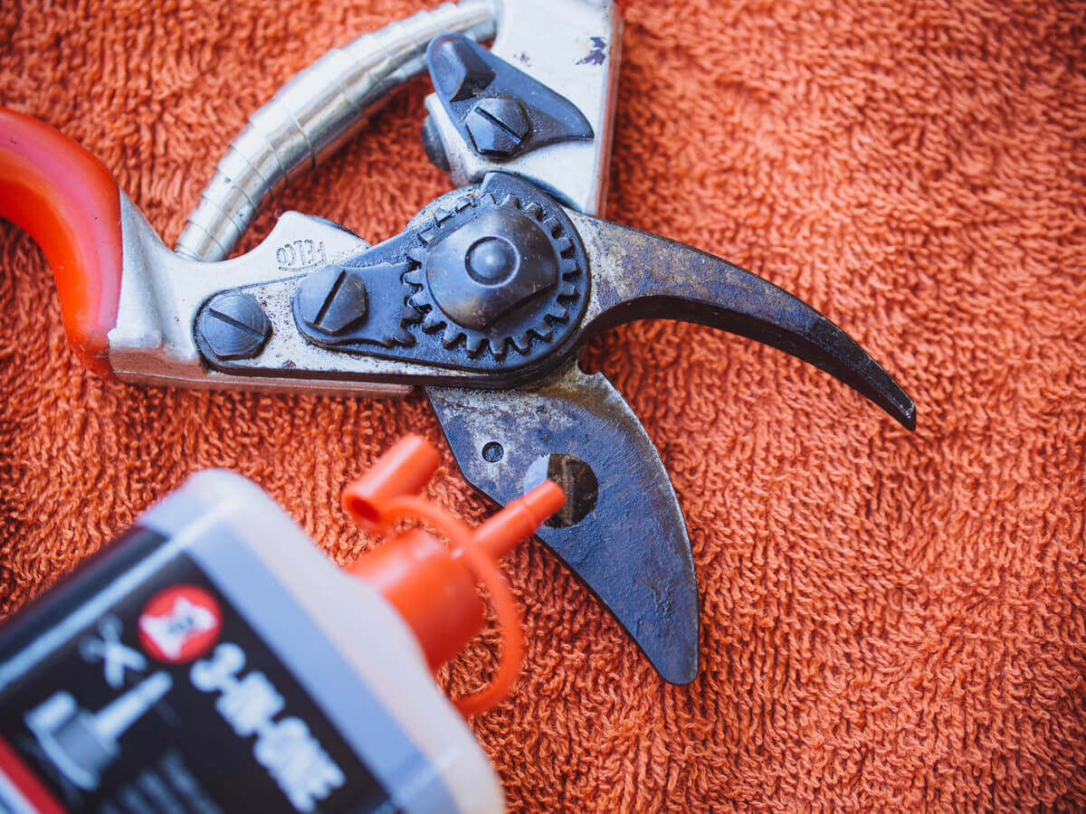 Add a few drops of lubricating oil to the pivot joints and blades of your pruners