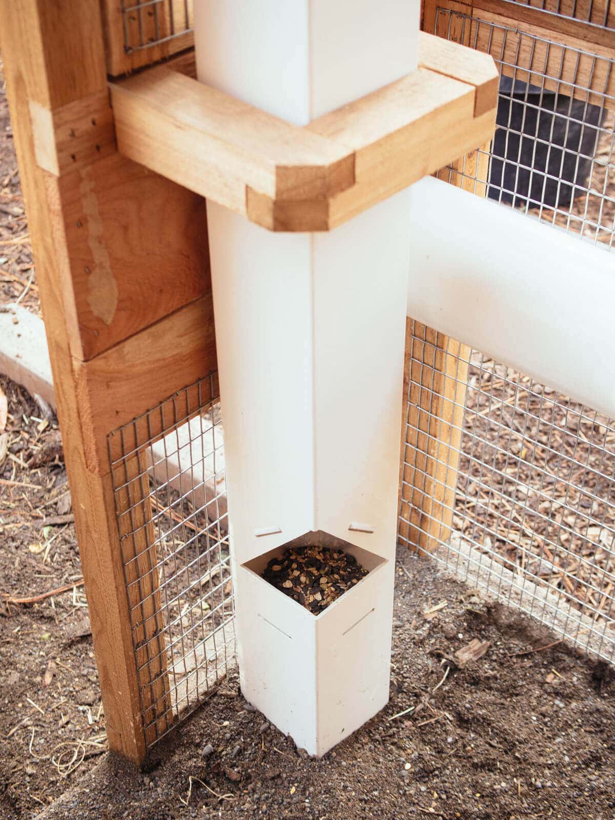 No-poop chicken feeder cuts down on mess and waste