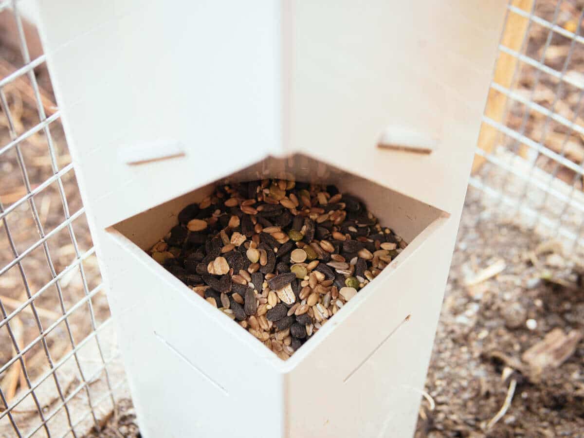 Chicken feeder filled with homemade grain and seed mix