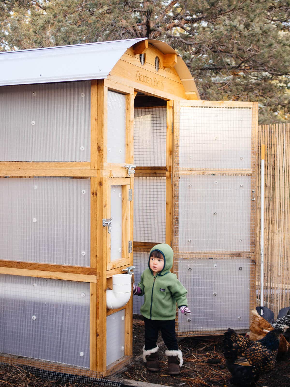 A chicken coop stormproofed with translucent twinwall plastic panels