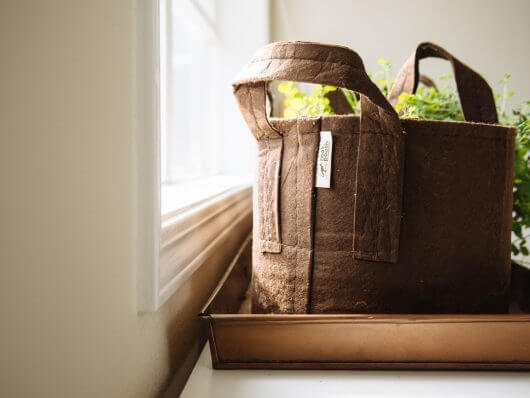 Houseplant in a Root Pouch fabric pot