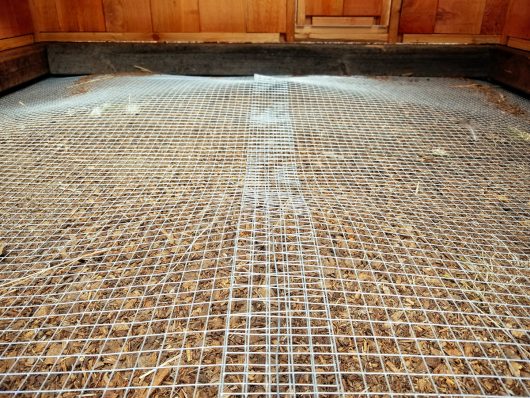 Hardware cloth attached to the bottom of a chicken run deters digging predators