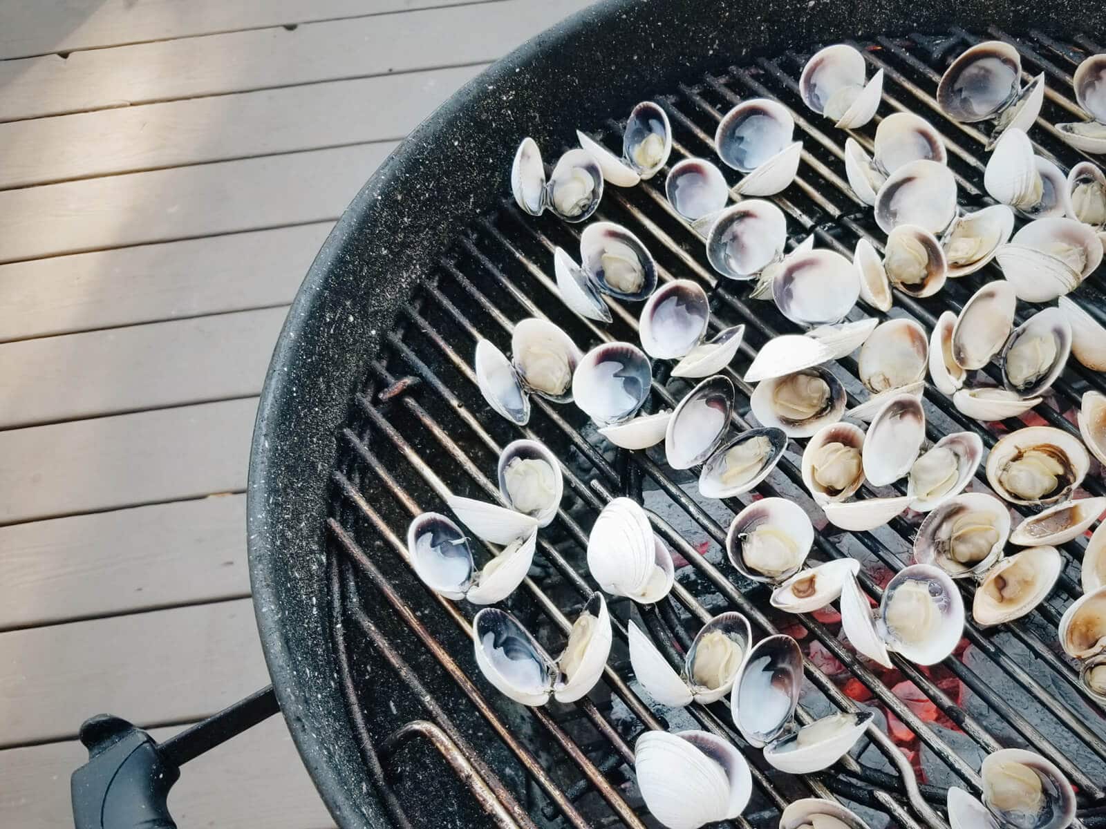 Clams on the grill