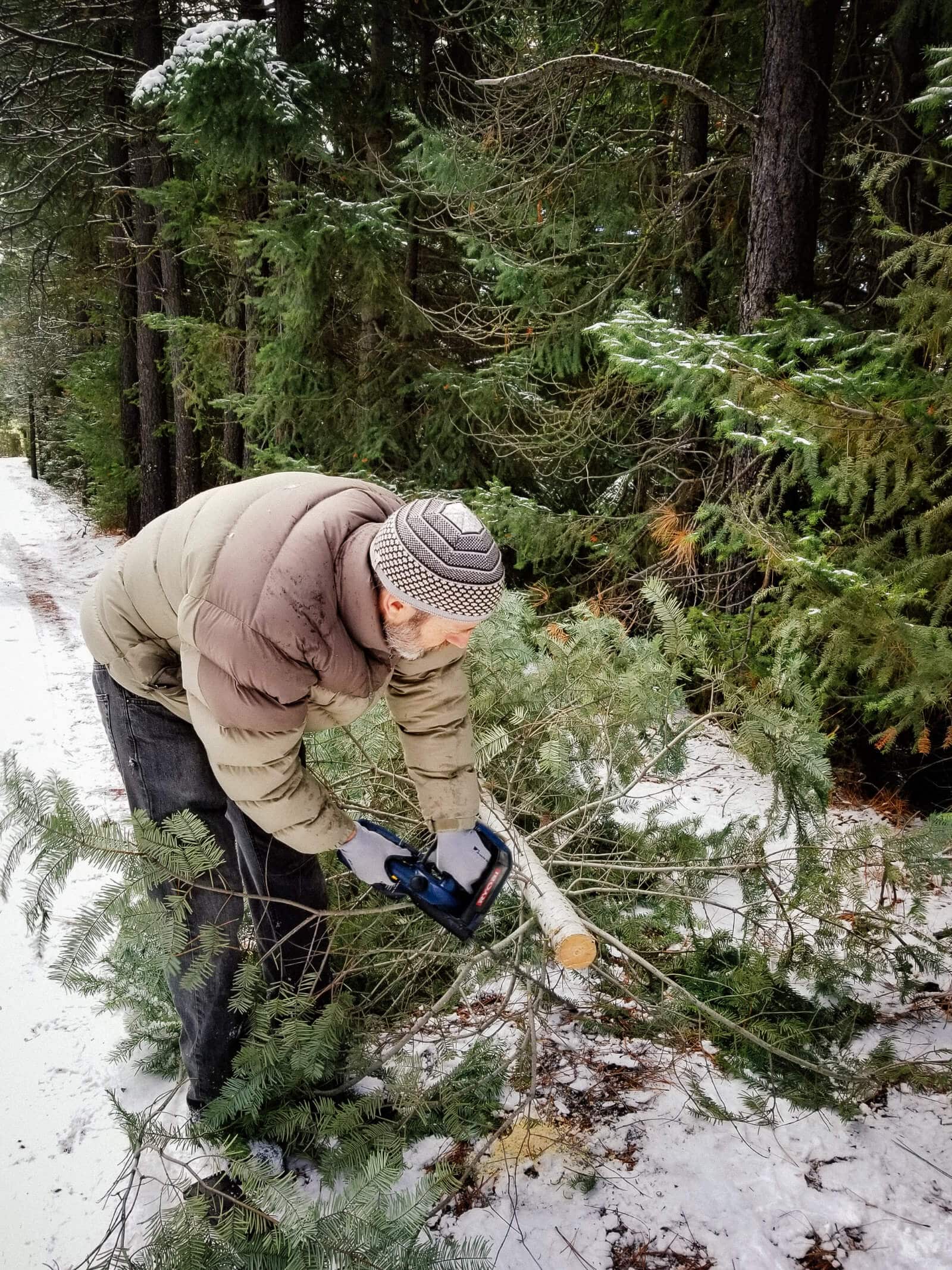 Cutting down our own Christmas tree