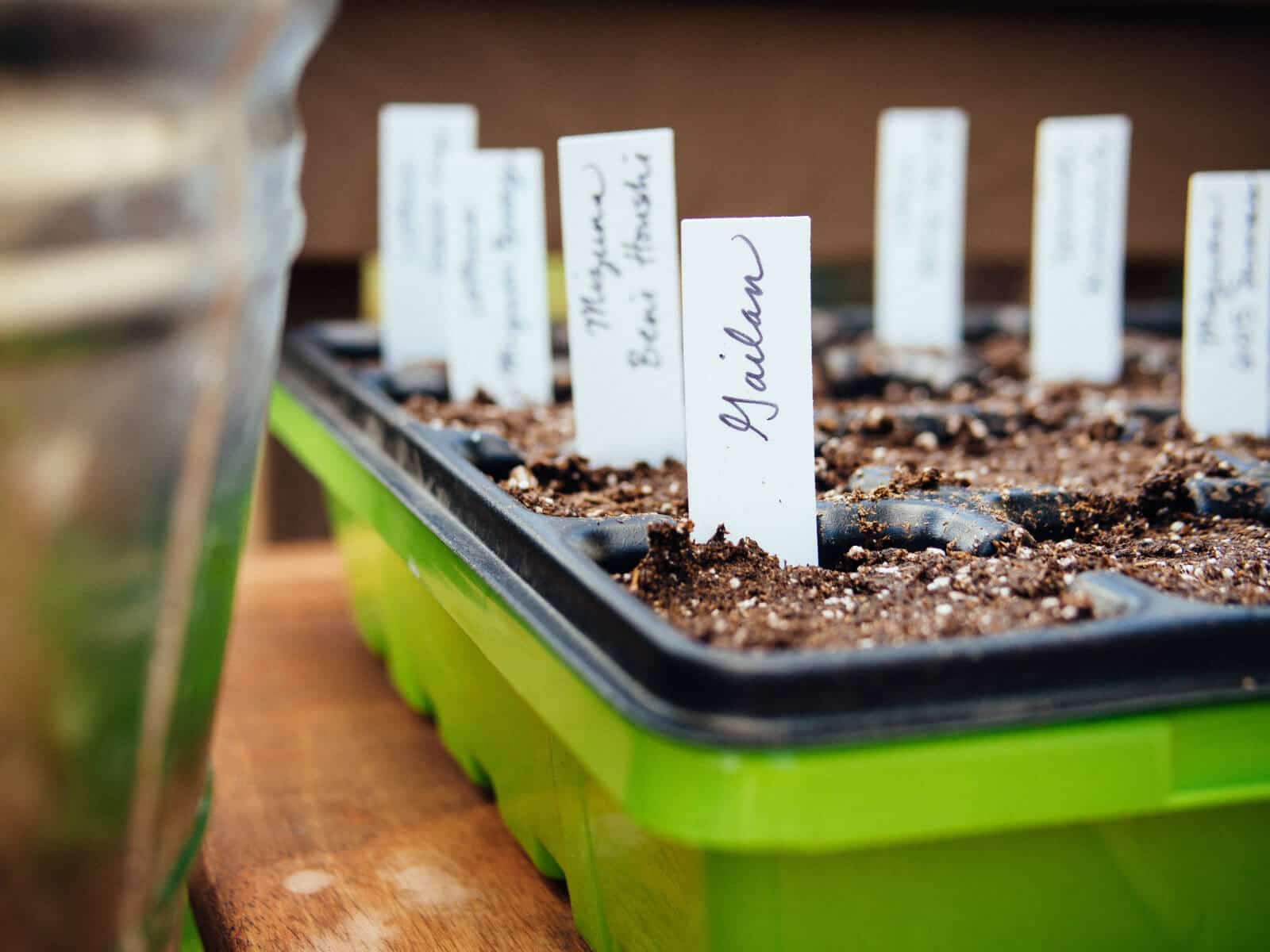 Label all your seedling pots