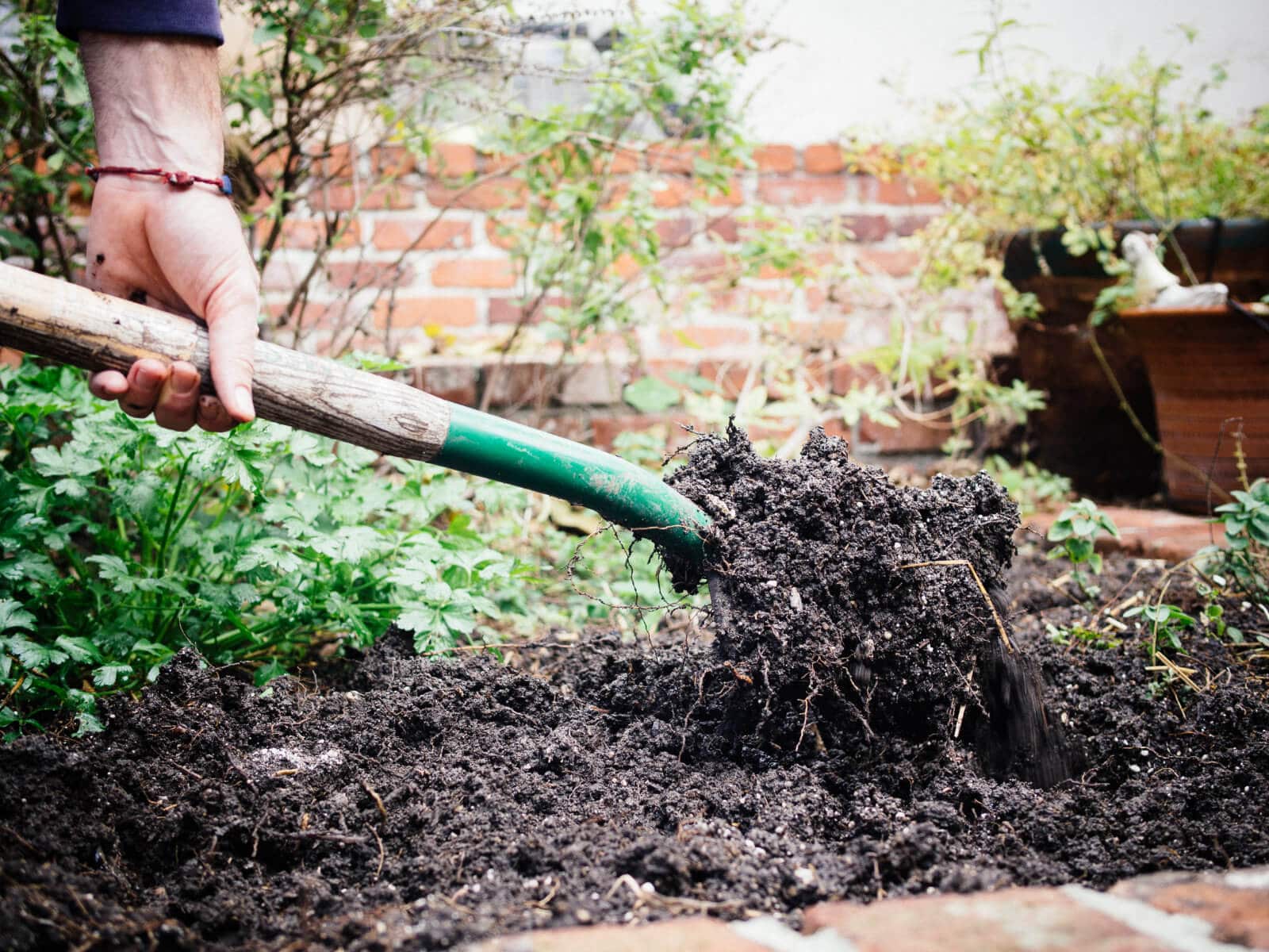 Know the root depth of your plants before preparing your garden beds