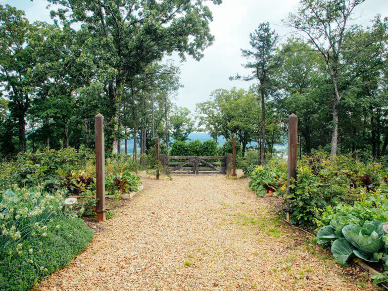 How to Find the Root Depth of Vegetables [Printable Chart]