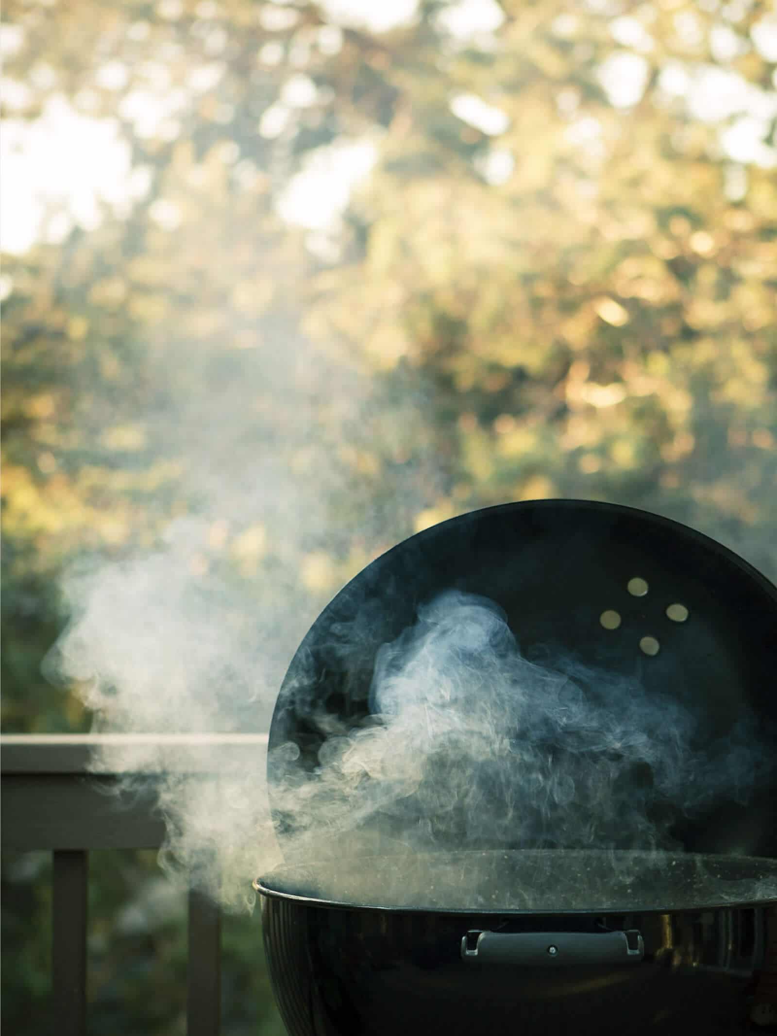 Harness the fun, flavor, and power of wood smoke and fire for your outdoor meals