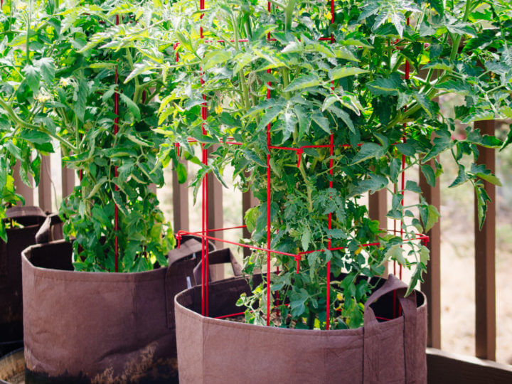 How to fill raised garden beds without spending a lot of money - Christina  Maria Blog