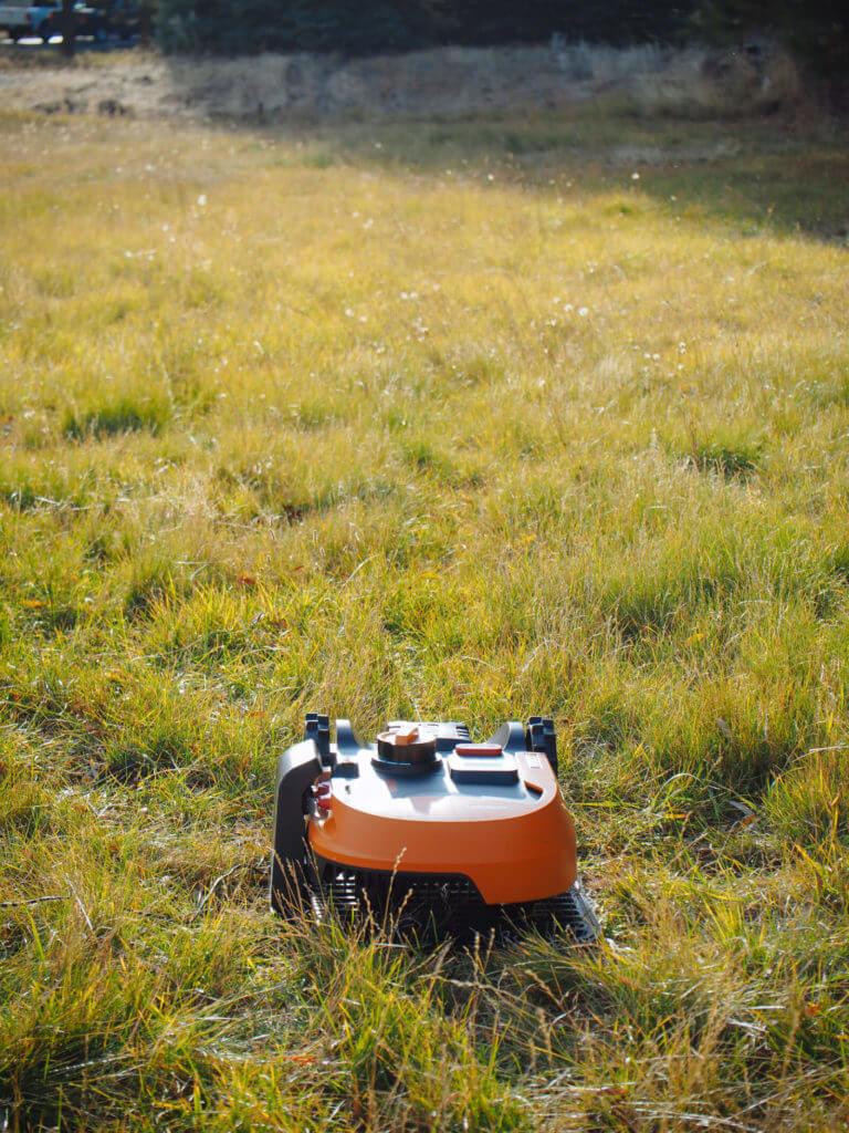 Fall Garden Cleanup: A Robot Is Mowing My Lawn!