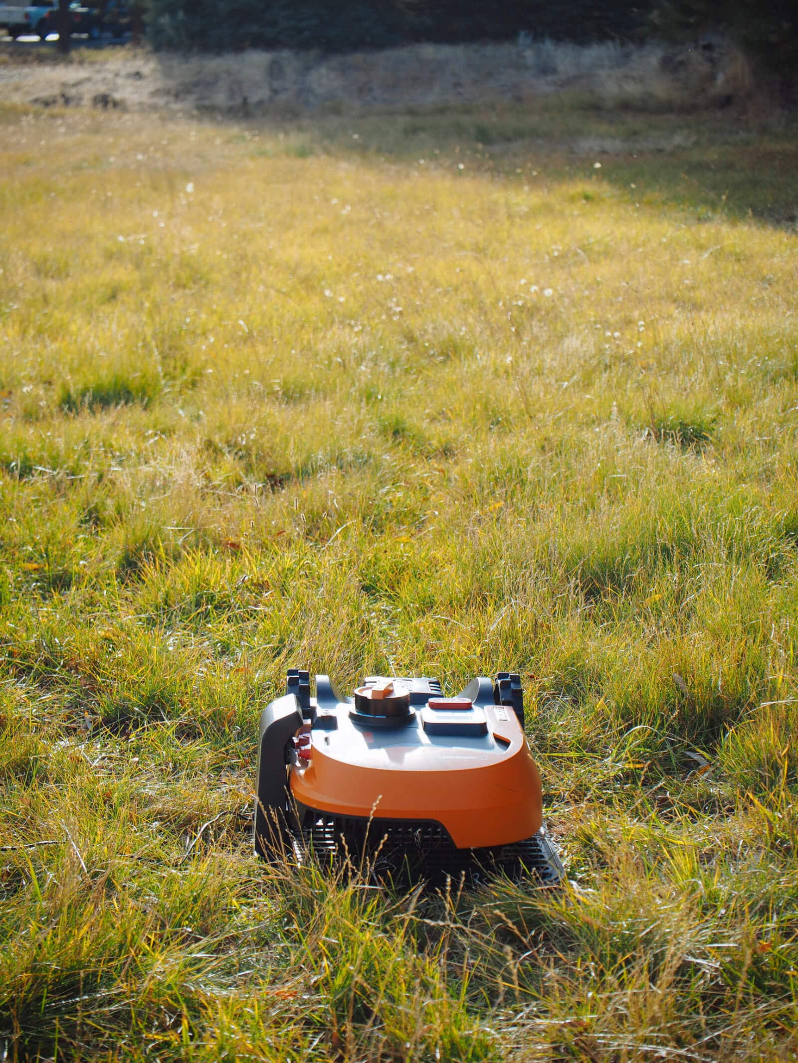 Fall garden cleanup: a robot is mowing my lawn