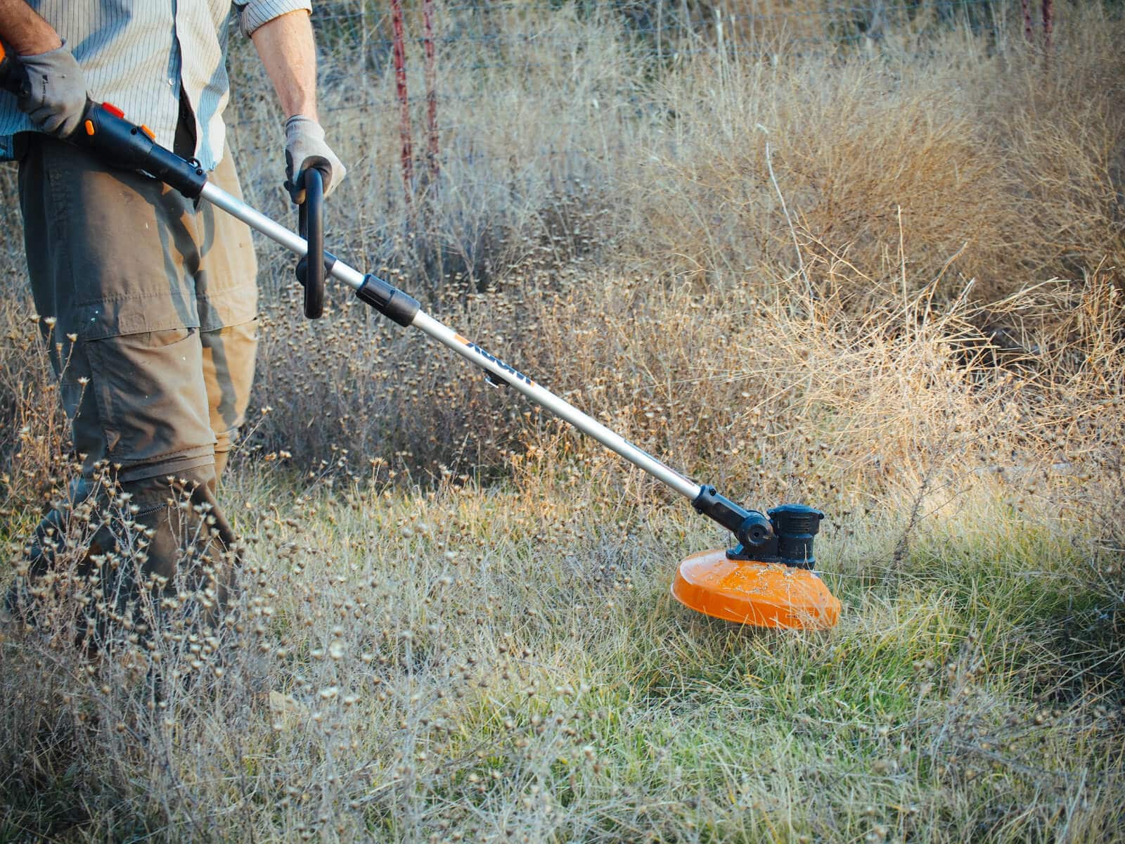 Using the WORX string trimmer to cut back our weeds