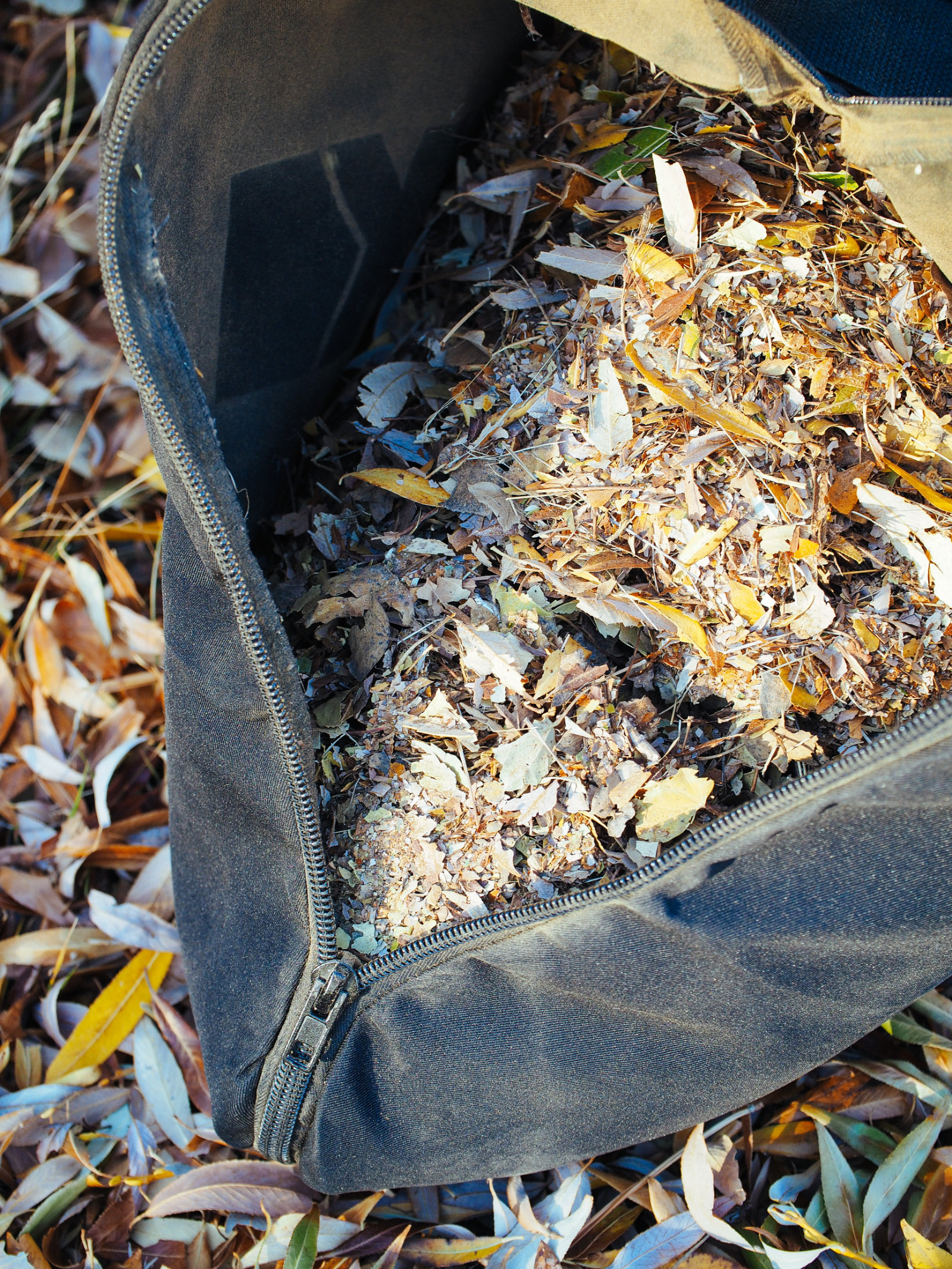 Finely mulched leaves and twigs