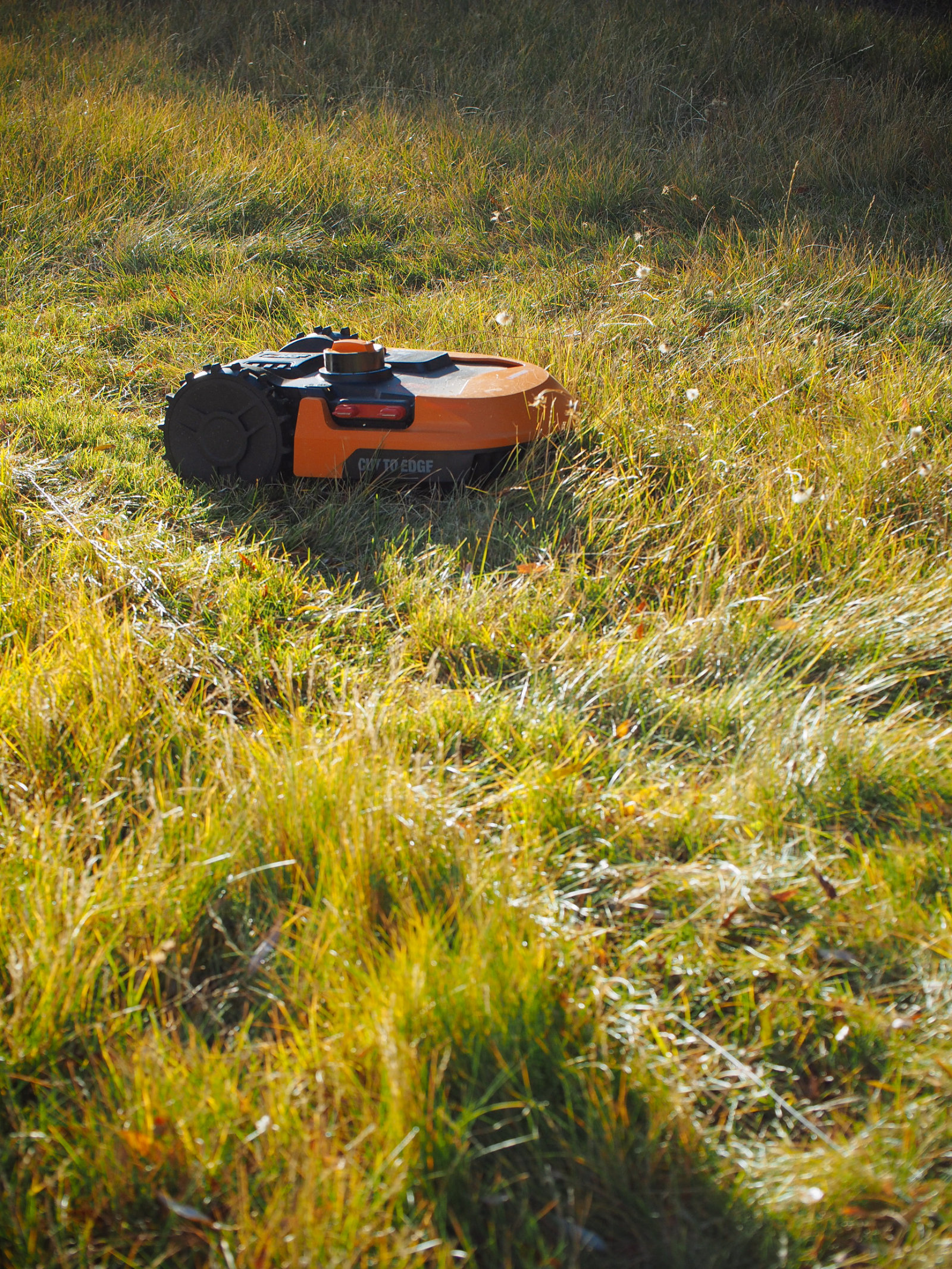Fall garden cleanup with a robotic lawnmower