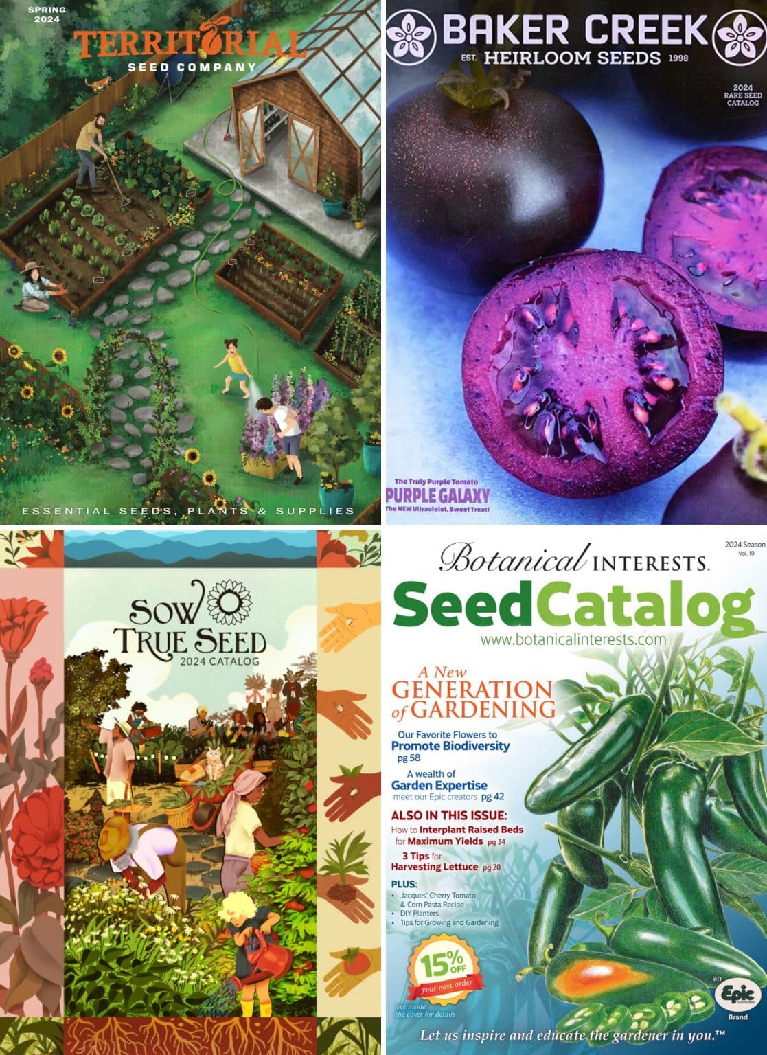 The Best Seed Catalogs for 2024, According to a Garden Expert Garden