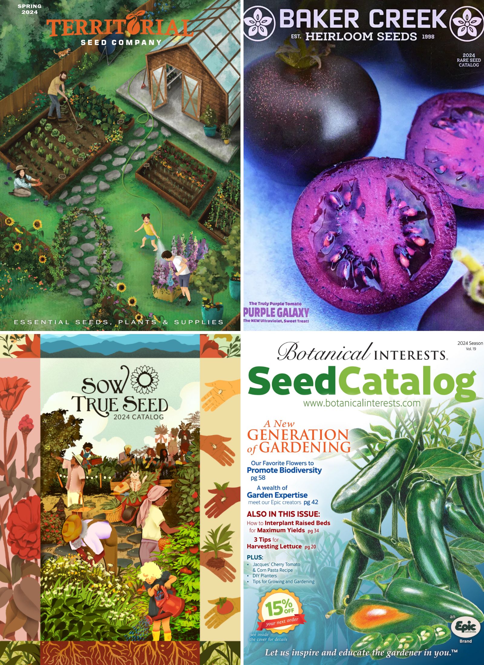 The Top 7 Heirloom Seed Catalogs for Urban Gardeners — kitchen plot