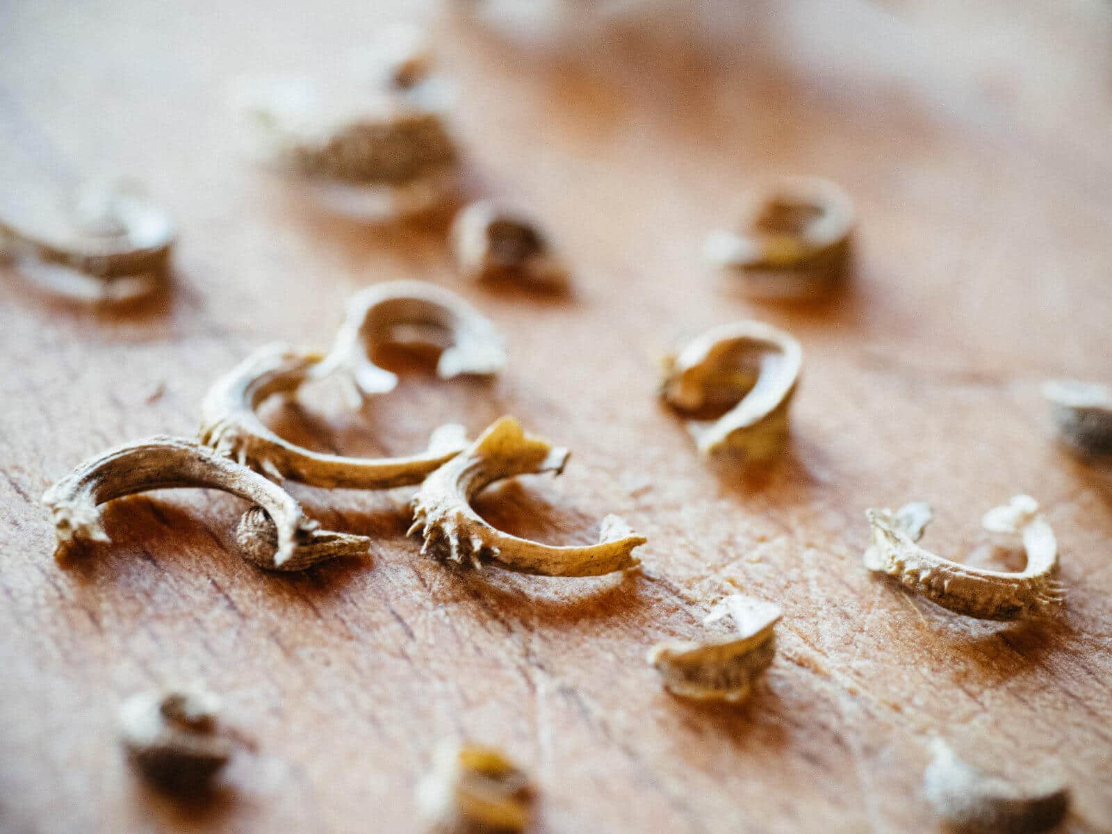 Calendula flower seeds