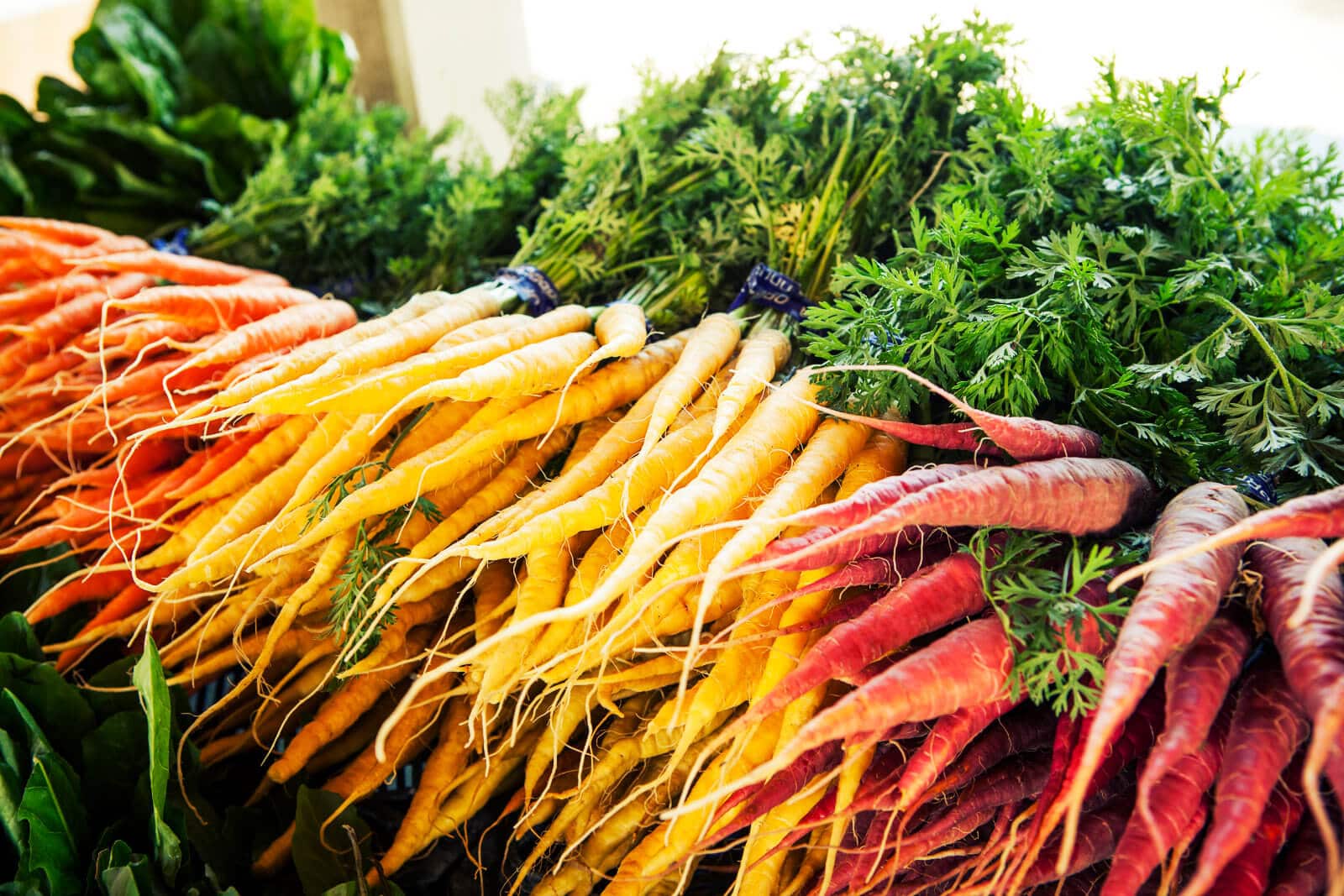 Buy carrot tops from the farmers market for the best quality and flavor