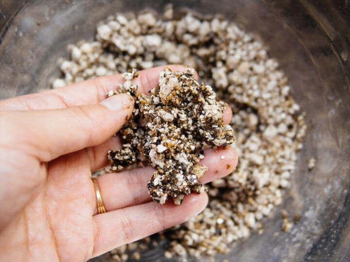 How to Use Perlite to Improve Soil and Boost Plant Growth