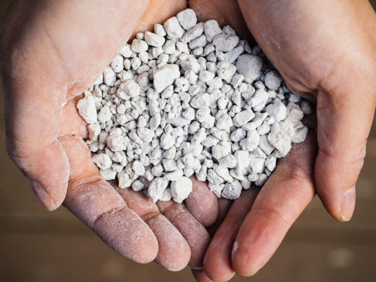 How to Use Perlite to Improve Soil and Boost Plant Growth