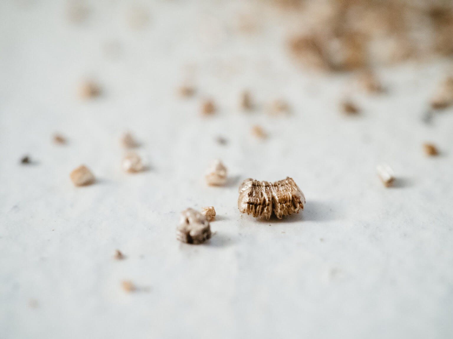 Perlite vs. Vermiculite: How and Why to Use Them - Garden Betty