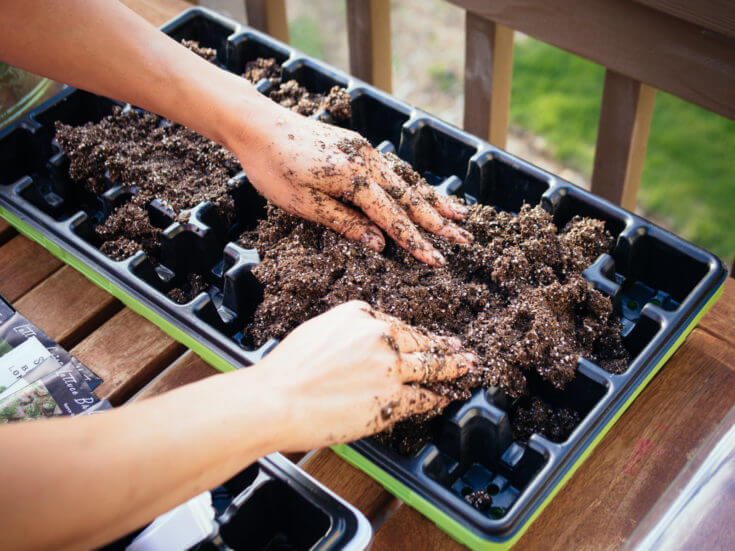 Make the Best Seed Starting Mix for Dirt Cheap (It’s Organic Too ...