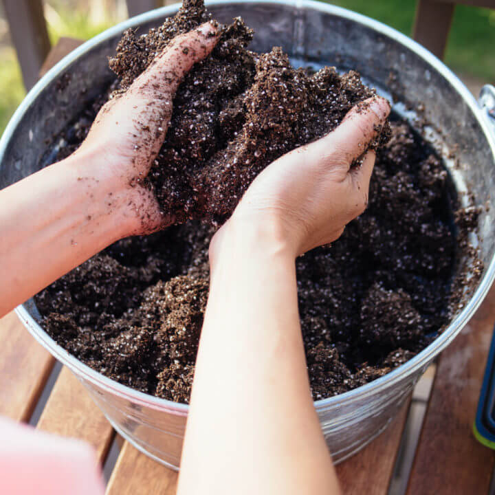 What's best: Multipurpose, Potting, Seed Compost?