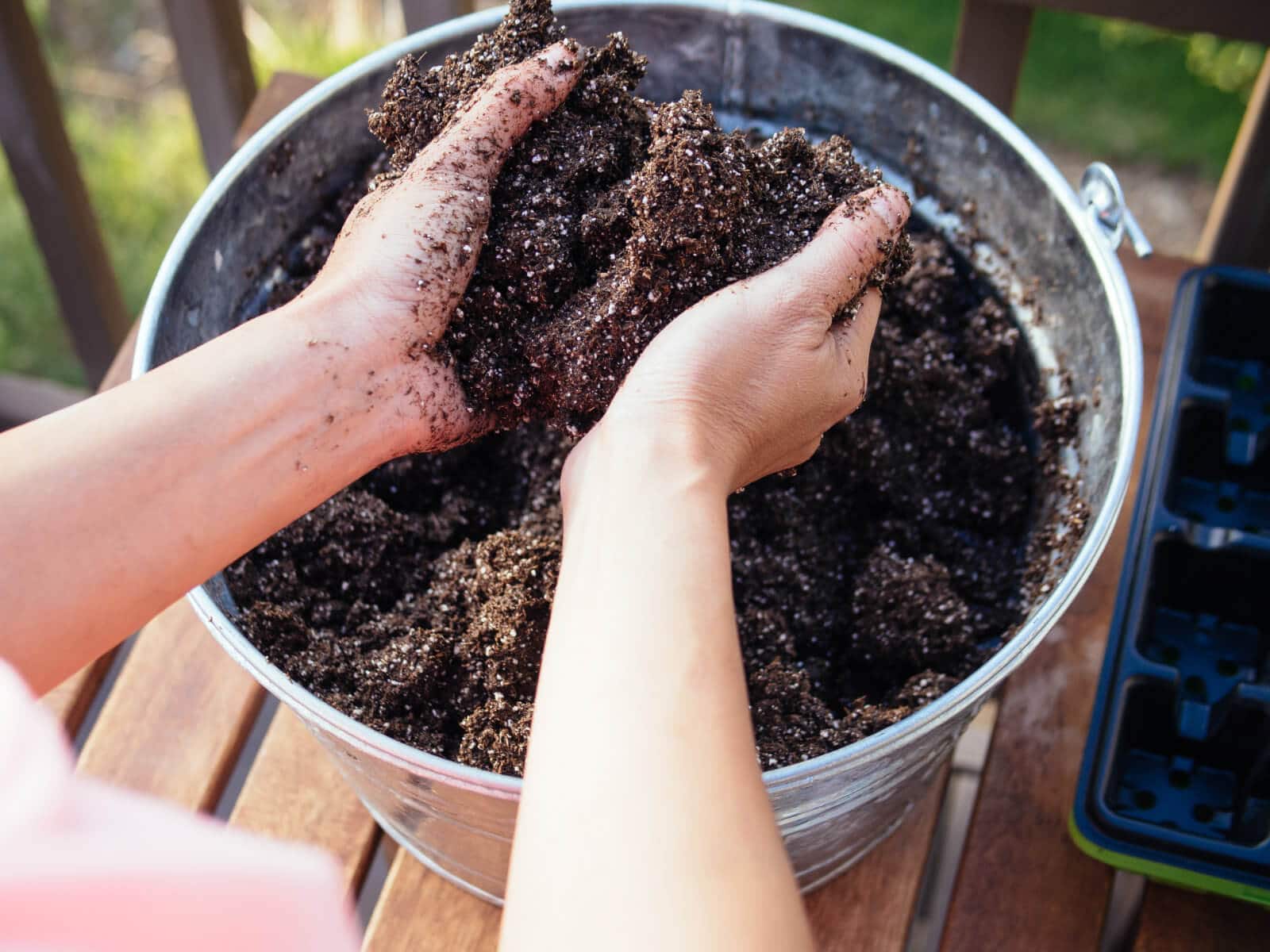 How to Plant Seeds in a Basic Seed Tray: 15 Steps (with Pictures)