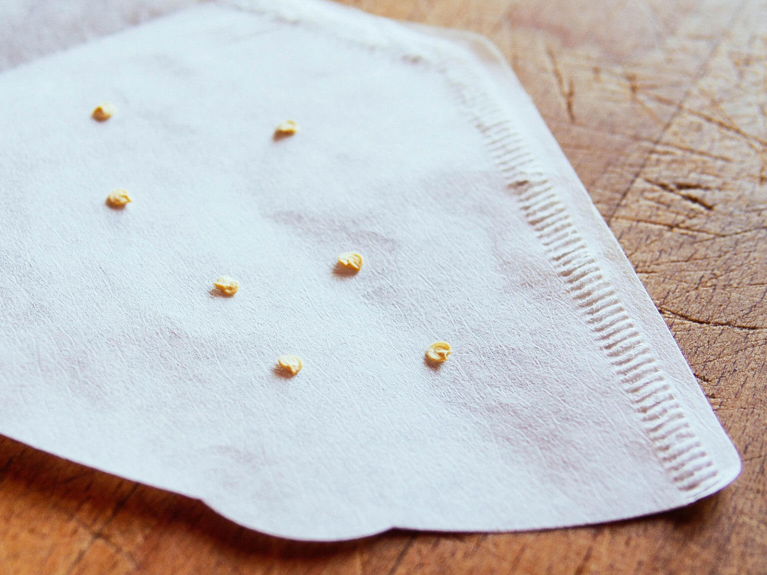 Germinating Seeds In Paper Towels A Quick and Easy Way to Start Seeds Without Soil Garden Betty