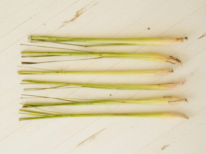 How to Grow Lemongrass from Store-Bought Stalks – Garden Betty