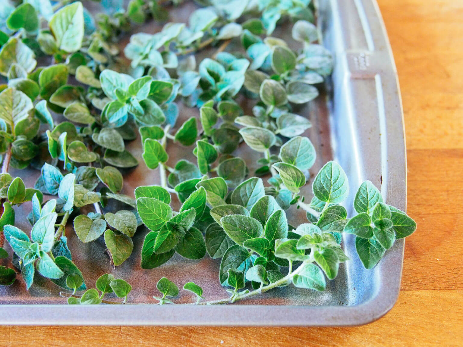 How to Dry Oregano (and Other Herbs) Fast—Use the Oven! Garden Betty